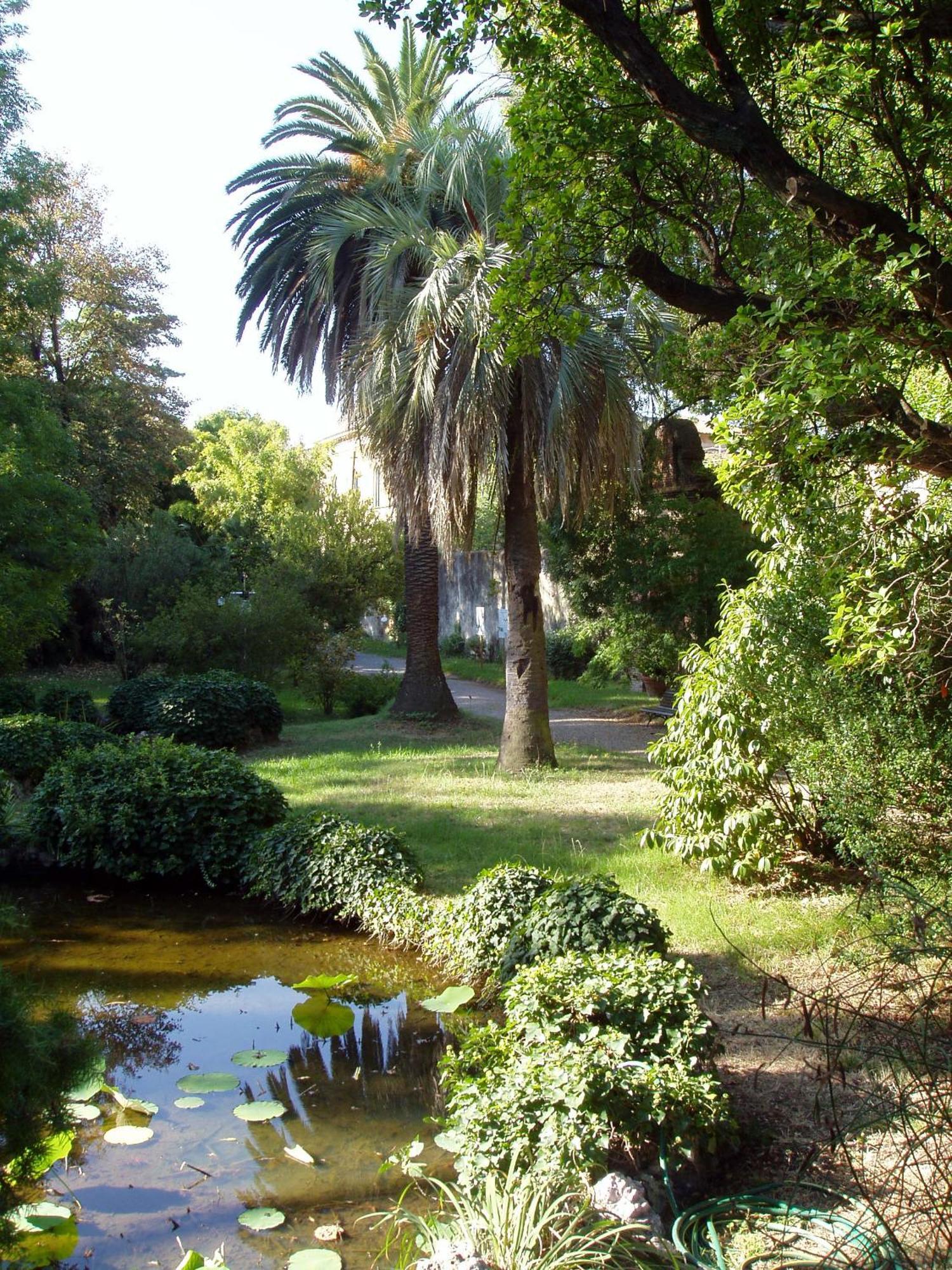 Hagley Park Hidden Gem Lejlighed Christchurch Eksteriør billede